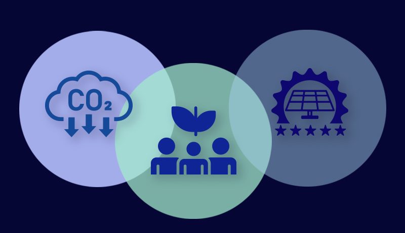 Turn Your Business into a Solar-Powered