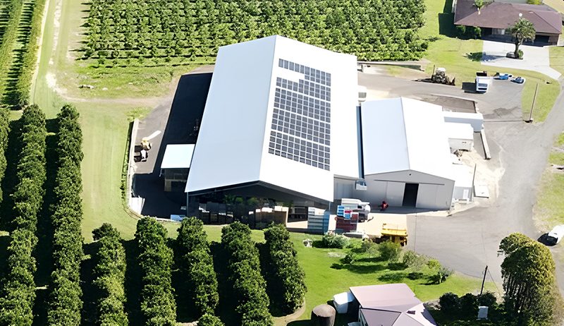 commercial solar